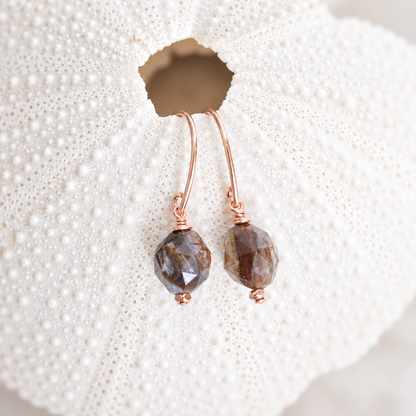 Fossilised Wood Gold Earrings