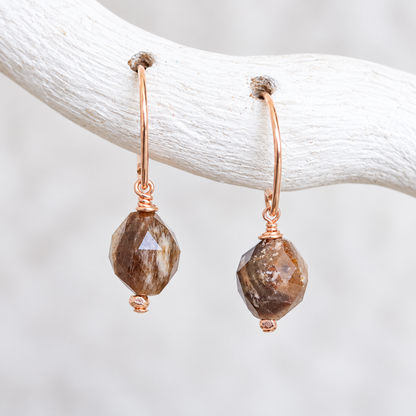 Fossilised Wood Gold Earrings
