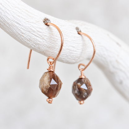 Fossilised Wood Gold Earrings