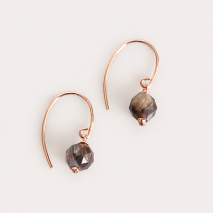 Fossilised Wood Gold Earrings