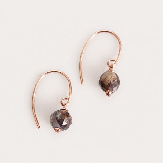Fossilised Wood Gold Earrings