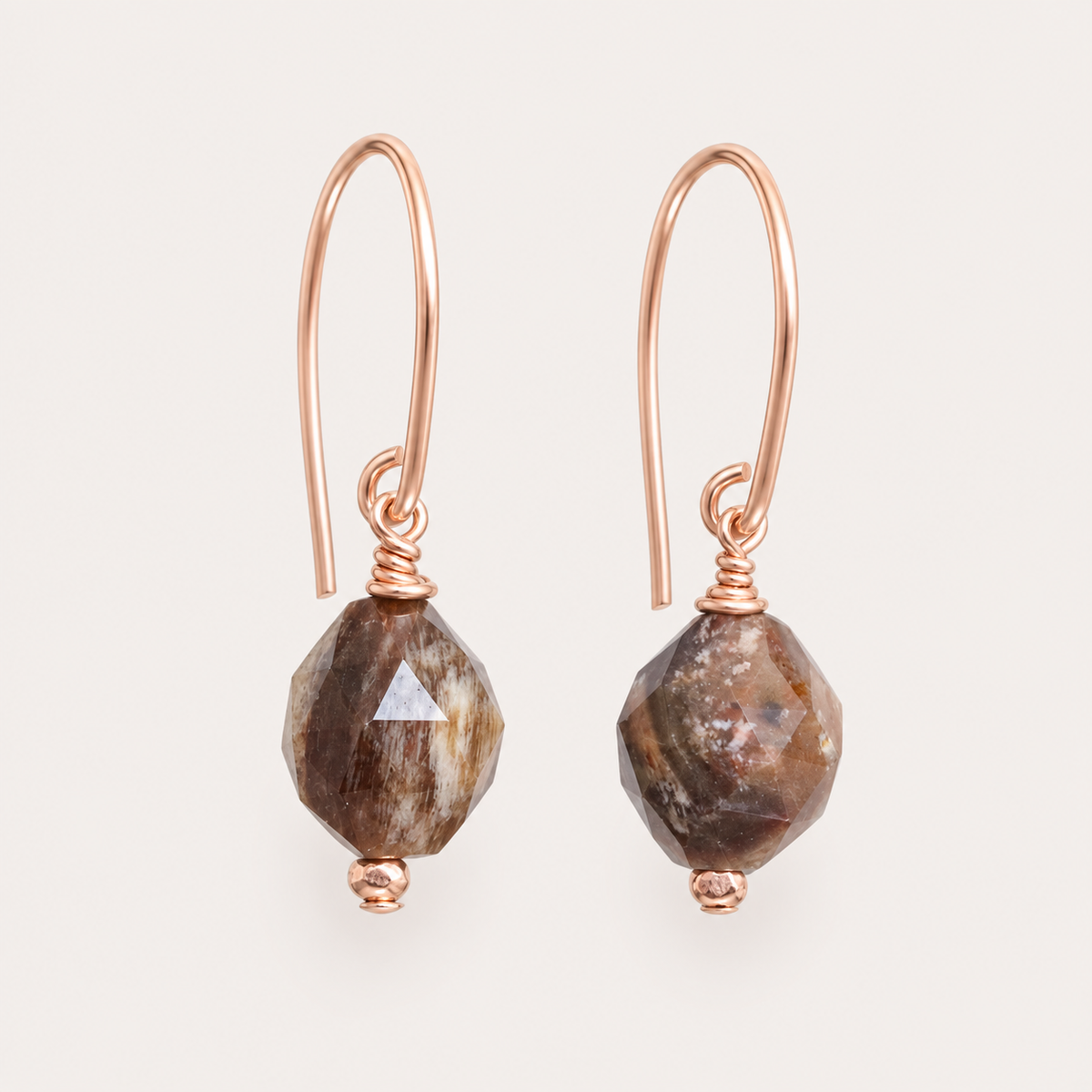 Fossilised Wood Gold Earrings