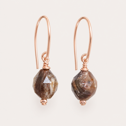 Fossilised Wood Gold Earrings