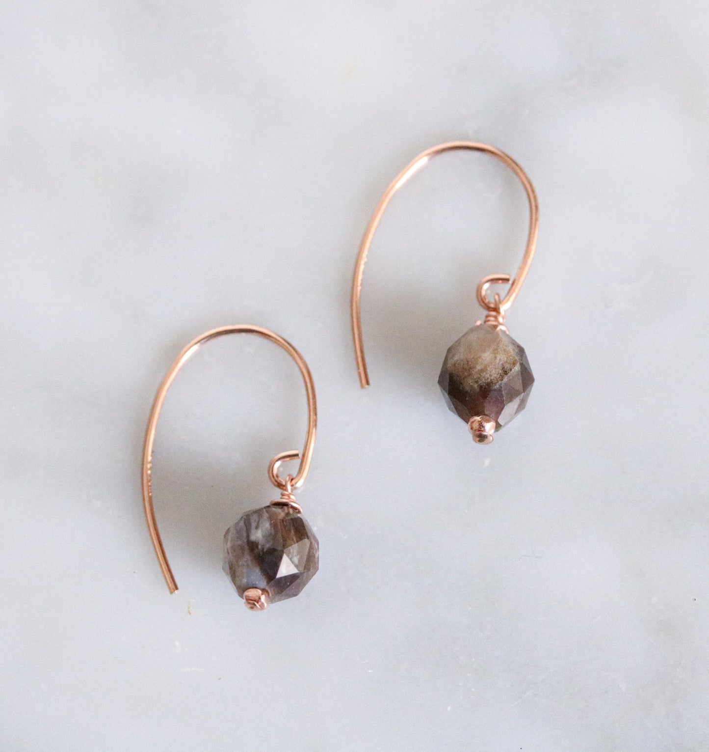 Fossilised Wood Earrings: 14k Gold Fill Gemstone, Modern Minimalist