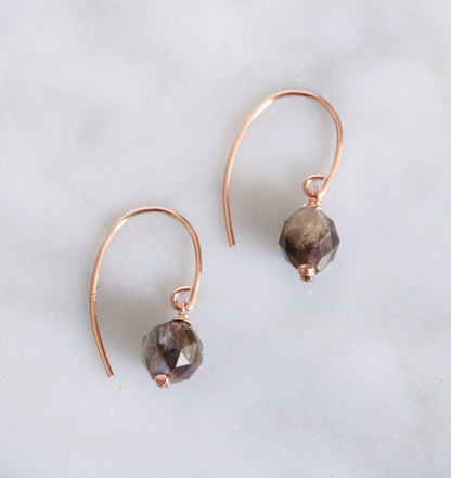 Fossilised Wood Earrings: 14k Gold Fill Gemstone, Modern Minimalist