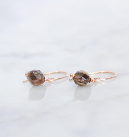 Fossilised Wood Earrings: 14k Gold Fill Gemstone, Modern Minimalist