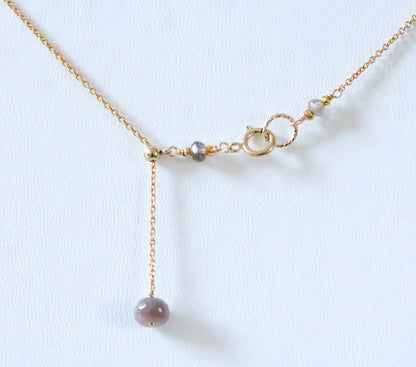Faceted Botswana Agate Rondelle Necklace: Adjustable Gold Filled Chain