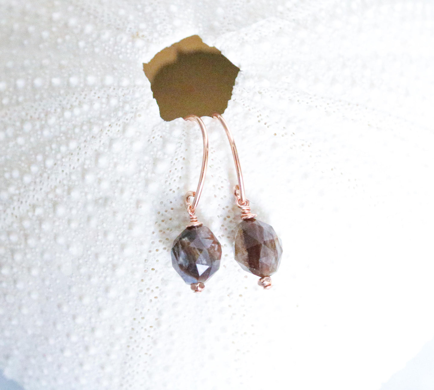 Fossilised Wood Earrings: 14k Gold Fill Gemstone, Modern Minimalist