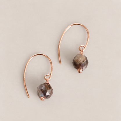 Fossilised Wood Gold Earrings