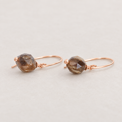 Fossilised Wood Gold Earrings