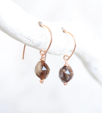 Fossilised Wood Earrings: 14k Gold Fill Gemstone, Modern Minimalist