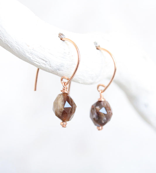 Fossilised Wood Earrings: 14k Gold Fill Gemstone, Modern Minimalist
