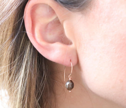 Fossilised Wood Earrings: 14k Gold Fill Gemstone, Modern Minimalist
