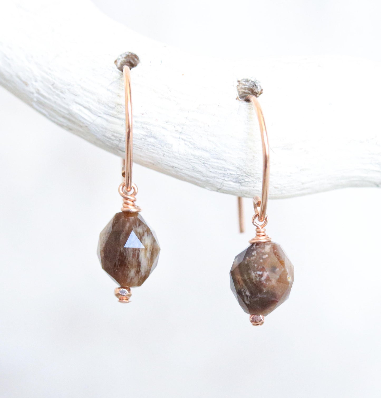 Fossilised Wood Earrings: 14k Gold Fill Gemstone, Modern Minimalist